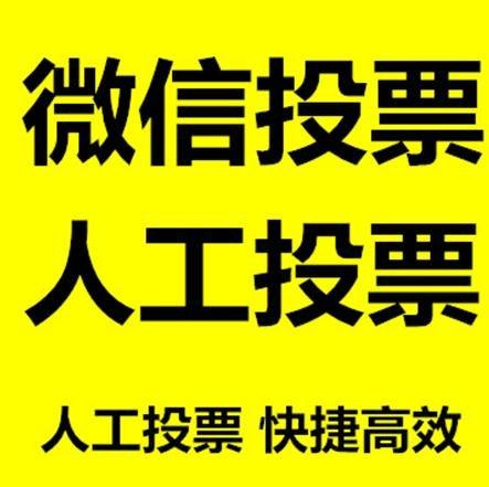 大兴安岭地区投票活动拉票能被查出来吗？如何操作能不被发现？